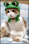 Froggy frog frog meow wow