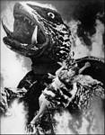 Gamera